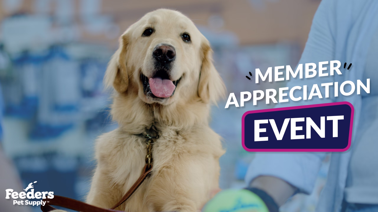 Golden retriever with tongue out wearing a leash, next to text reading 'Member Appreciation Event' and Feeders Pet Supply logo.